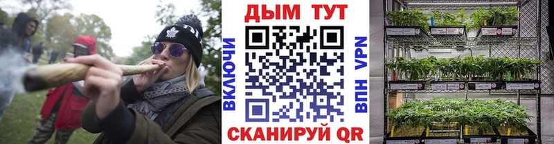 Канабис White Widow  Куровское 